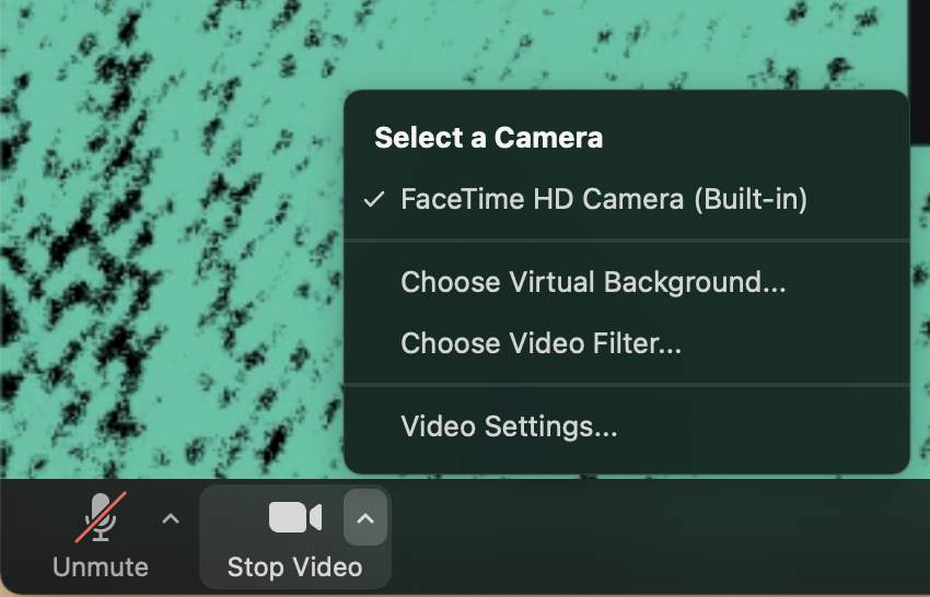 Image of zoom stop/start camera button